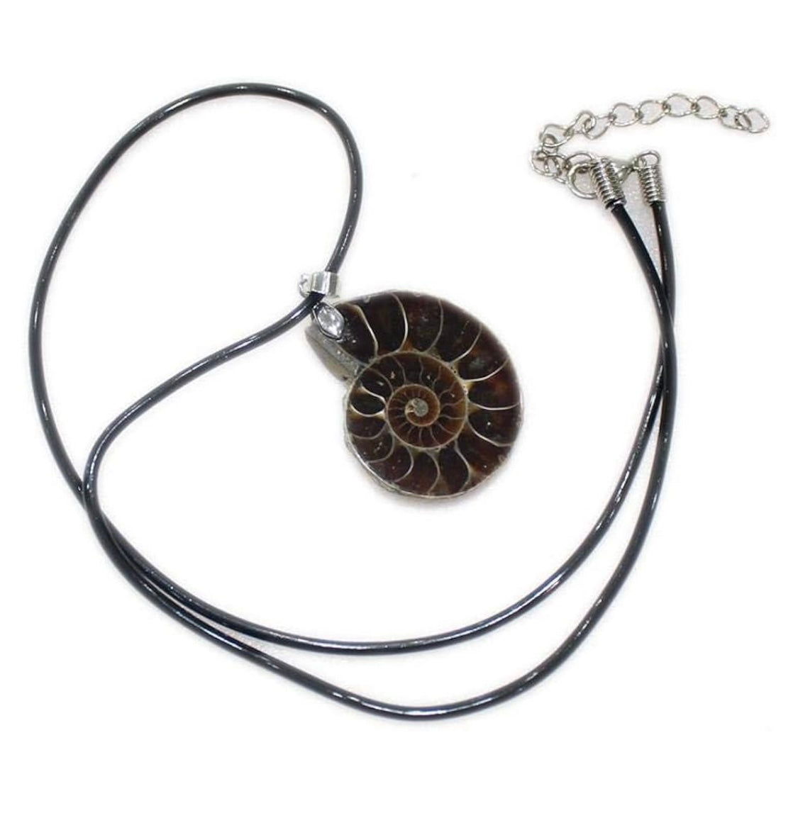 Ammonite fossil necklace