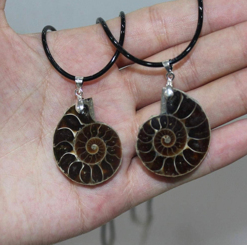 Ammonite fossil necklace