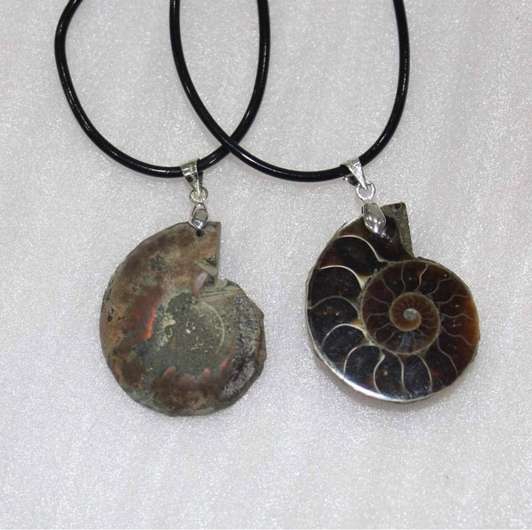 Ammonite fossil necklace