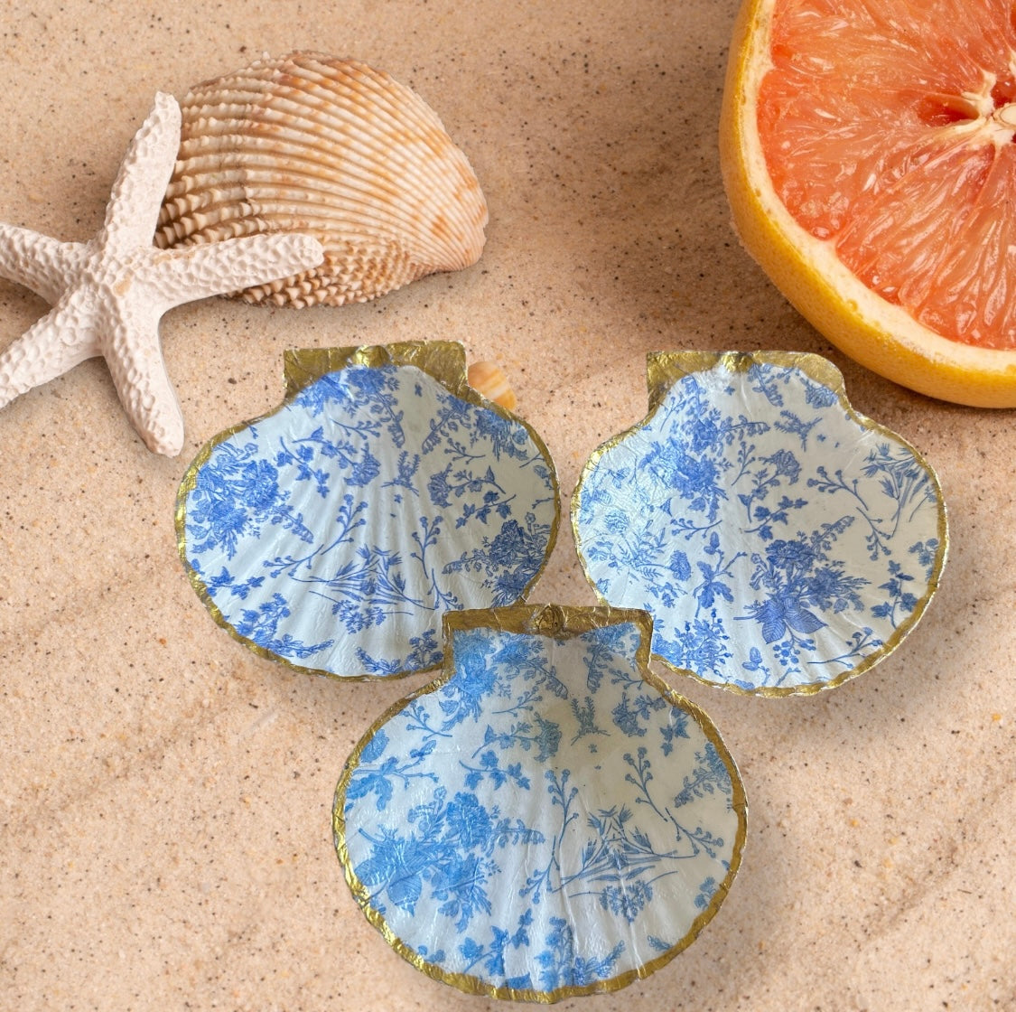 Decorative Scallop Shell