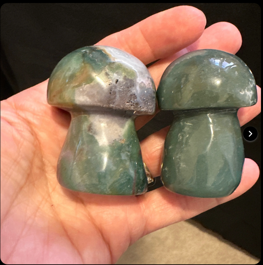 Ocean Jasper mushrooms (2”-2.5”inch)