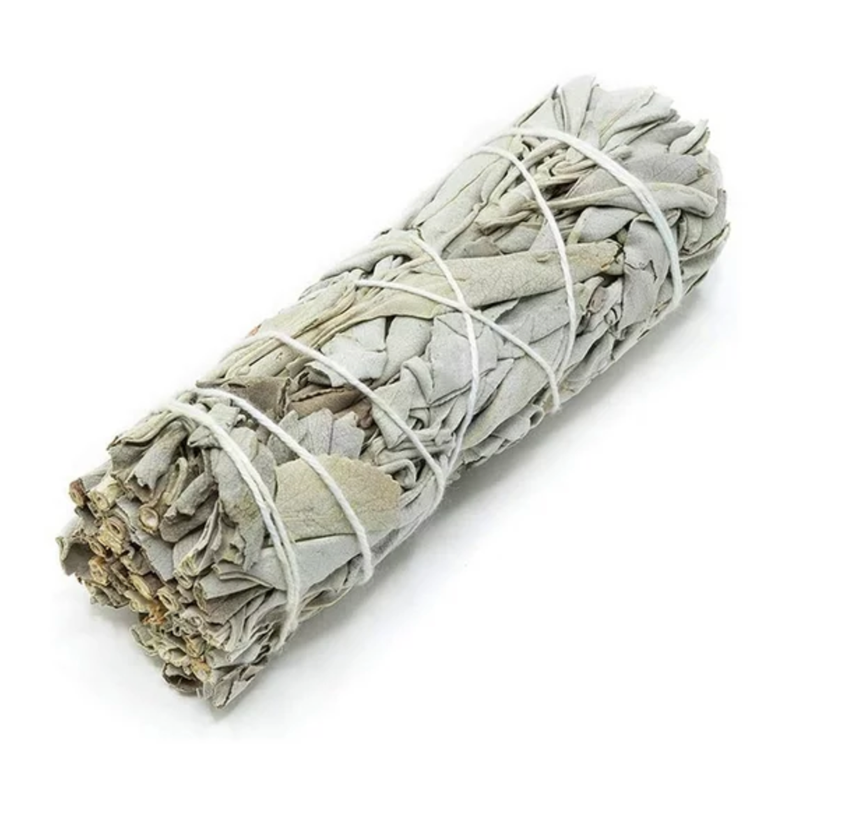 White sage 4 inch